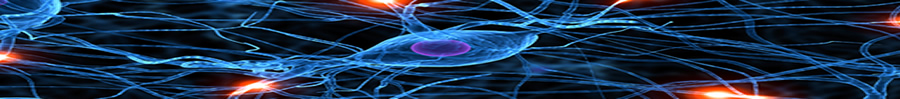 Brain Neurons