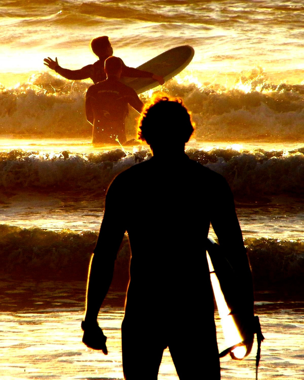 The Surfers
