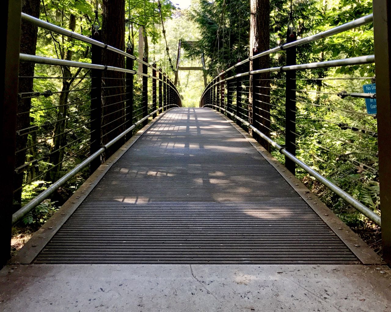 bridge over ravine