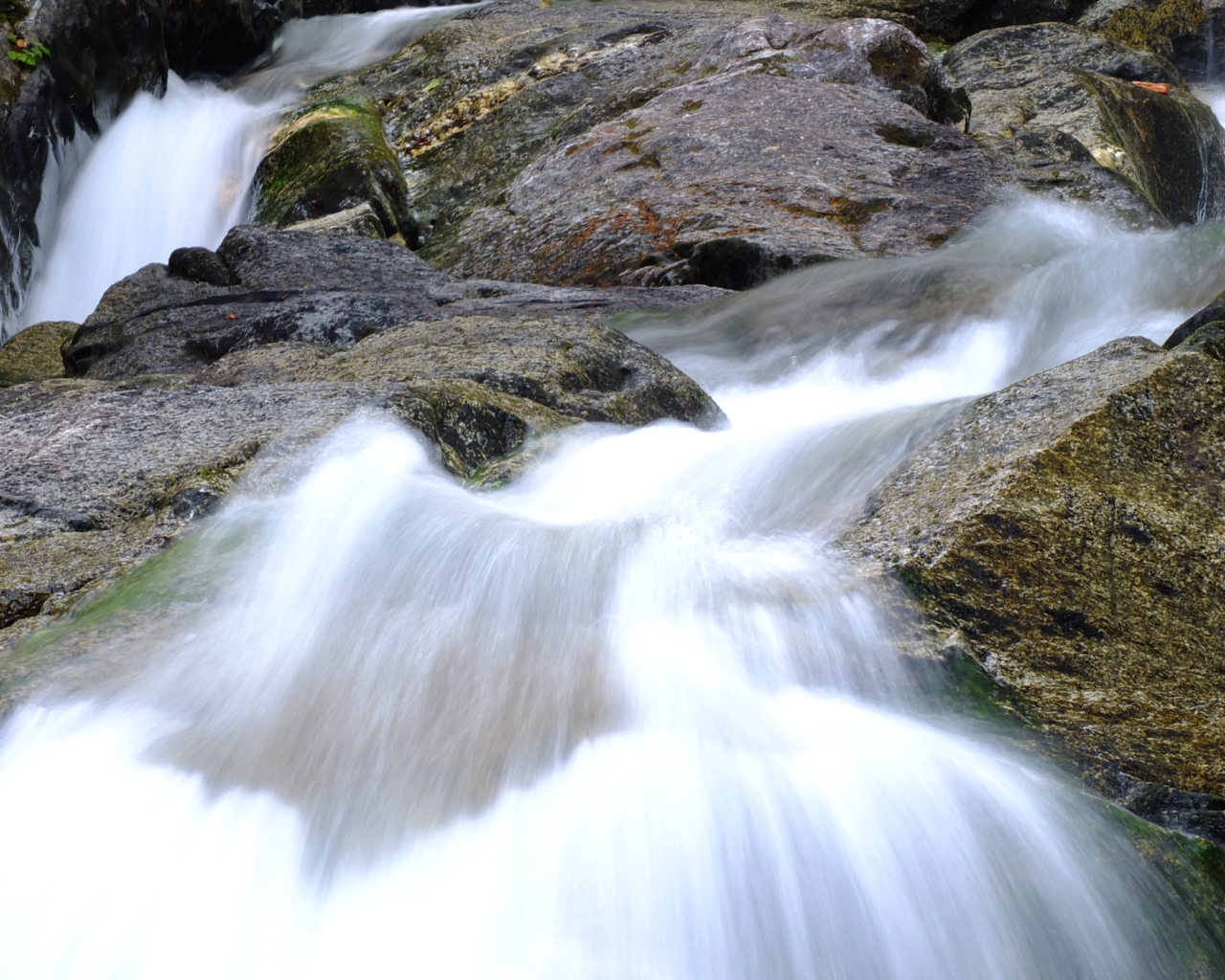 Fast Stream