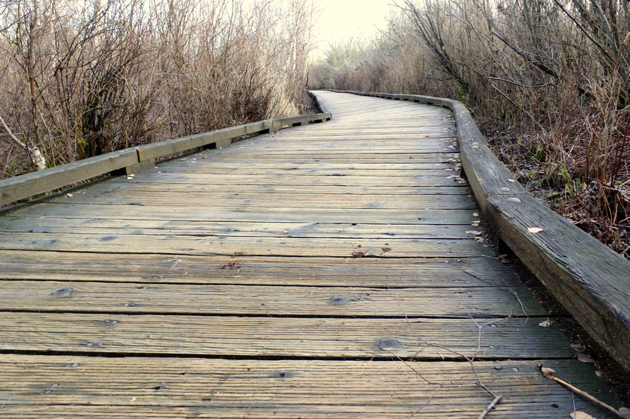 Path