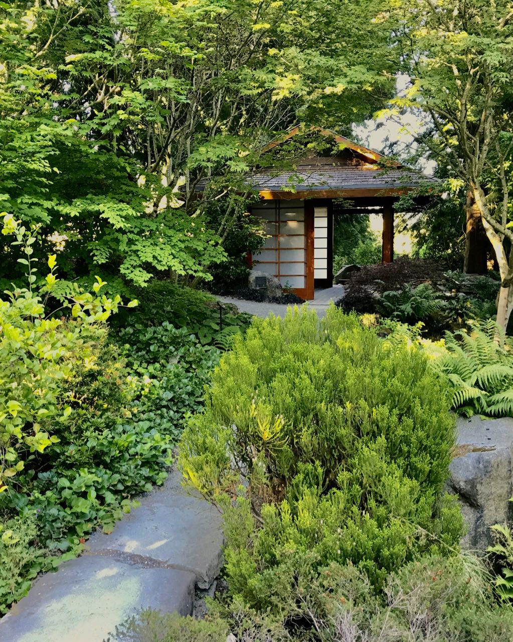 Zen Garden